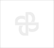 2024年PA视讯游戏电气温室气体排放核查报告