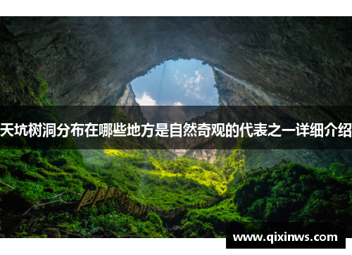 天坑树洞分布在哪些地方是自然奇观的代表之一详细介绍