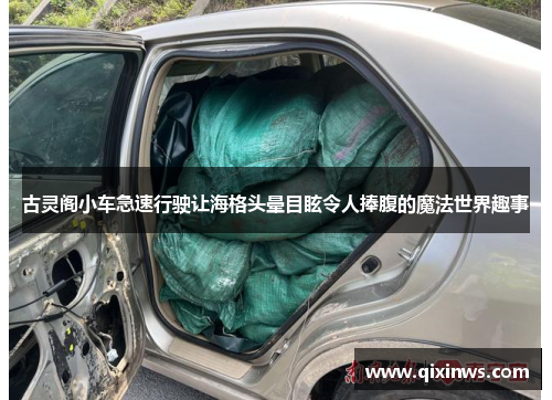 古灵阁小车急速行驶让海格头晕目眩令人捧腹的魔法世界趣事